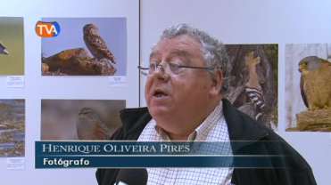 Exposição Henrique Oliveira Pires 
