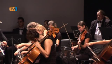 Concerto da Orquestra de Câmara de Cascais e Oeiras para celebrar o Dia Mundial da Música
