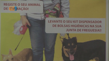 Junta Freguesia da Venteira Lança Campanha para acabar com Dejectos Caninos nas Ruas
