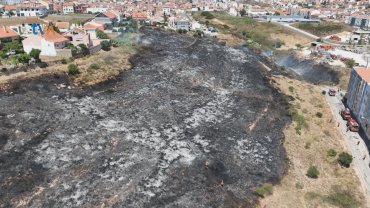 Incêndio na Zona da A-da-Beja Deixa 5 Hectares em Cinzas