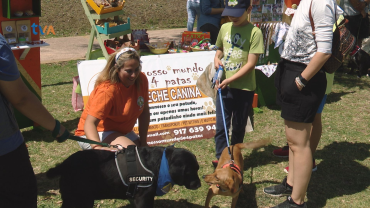 2ª Edição do Amadora Pet Market Traz Mais Expositores ao Parque do Neudel