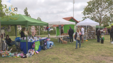 Amadora Pet Market Preenche Parque do Neudel