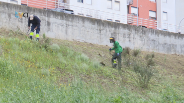 “O Nosso Bairro” Incentiva à Integração, Emprego e Valorização Pessoal