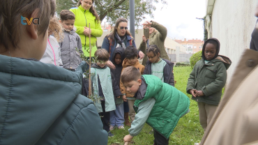 Autarquia Planta Árvores nas Escolas para Celebrar Dia da Floresta