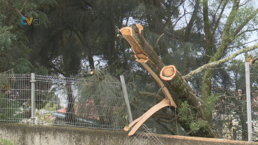 Tempestade Martinho Deixa Rastro de Quase 250 Ocorrências