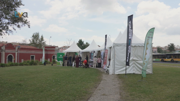 Submeet Une Falagueira-Venda Nova e Benfica na Promoção do Emprego e Formação Profissional
