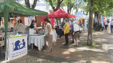 Parque Delfim Guimarães Acolhe Festa do Animal 