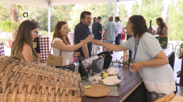 Wine & Sunset Amadora Fest Anima Parque do Neudel