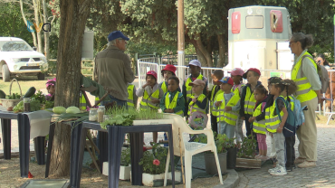 Parque Aventura Reveste-se de Atividades para Festejar Dia da Criança