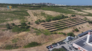 Amadora Trabalha na Prevenção dos Fogos Rurais