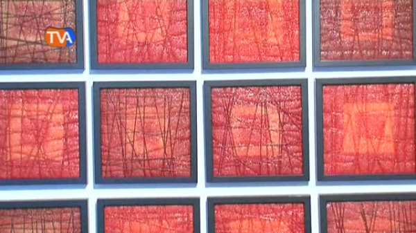 Exposição Alves Dias 