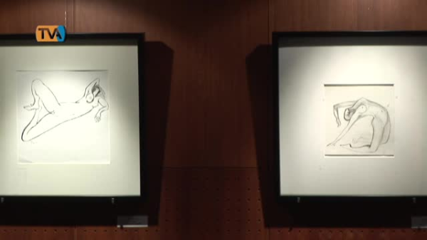 Os desenhos de João Dias da Cunha e a Língua Portuguesa em destaque na Biblioteca Piteira Santos