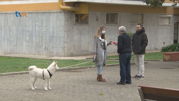 JF Falagueira-Venda Nova Entrega Dispensadores de Sacos para Evitar Dejetos Caninos no Chão