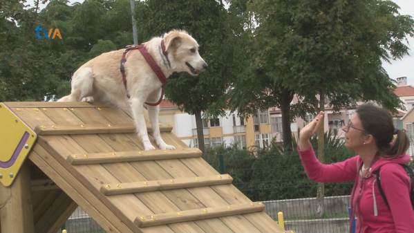 JF Venteira Inaugura Dog Park no Parque da Juventude